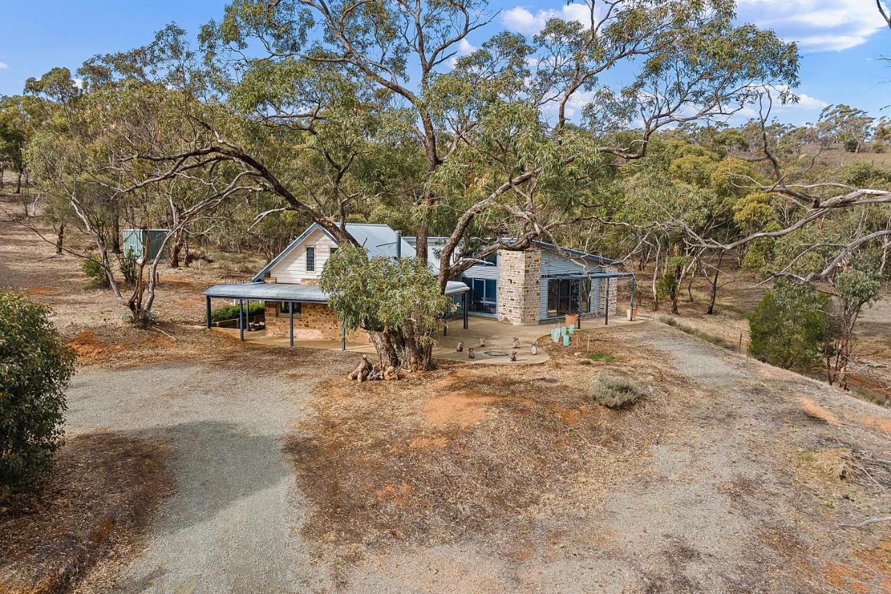 Benny'S Retreat Luxury Bushland Escape Villa Clare Exteriör bild